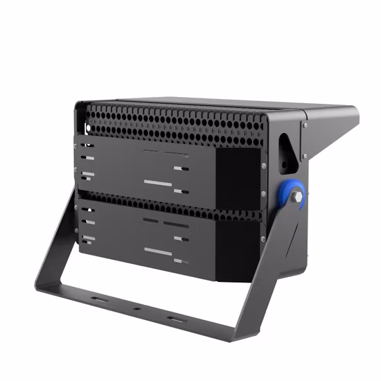 Подсветка пионов 500Вт